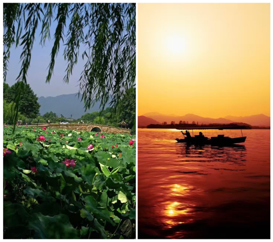 1562390915688547.png 8771474016729.png